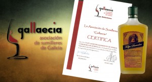 noriberica felipe saavedra gallaecia