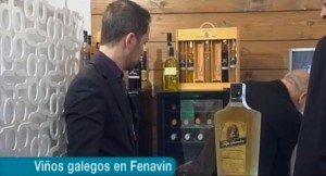 noriberica fenavin 2013