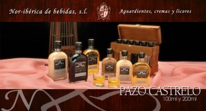 pazo castrelo