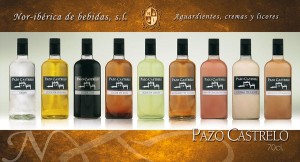 pazo castrelo