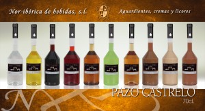 pazo castrelo